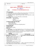 GIÁO ÁN ĐỊA LÝ 8 - CA NĂM