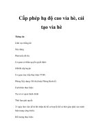 Cấp phép hạ độ cao vỉa hè, cải tạo vỉa hè ppsx