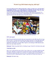 World 2010 thành công hay thất bại