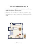Sống thoải mái trong căn hộ 39 m² pdf