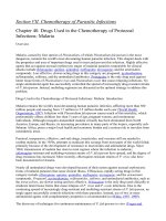 Section VIII - Chemotherapy of Microbial Diseases doc