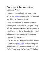 Phương pháp sử dụng phím tắt trong Command Prompt pptx