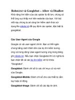 Robot.txt và Googlebot – Allow và Disallow doc