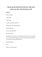 Cấp gia hạn giấy phép kinh doanh bán lẻ (hoặc đại lý bán lẻ) rượu đối với hộ kinh doanh cá thể doc