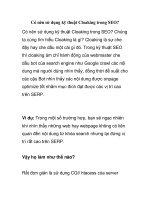 Có nên sử dụng kỹ thuật Cloaking trong SEO? ppsx