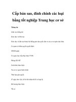 Cấp bản sao, đính chính các loại bằng tốt nghiệp Trung học cơ sở doc