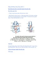 Động vật không xương sống ( phần 4 ) Đặc điểm phát triển và sinh thái potx