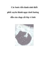 Các bước tiến hành sinh thiết phổi xuyên thành ngực dưới hướng dẫn của chụp cắt lớp vi tính pptx
