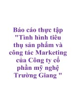 Báo cáo thực tập 