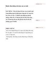 Bệnh viêm khớp trên lợn con sơ sinh ppt