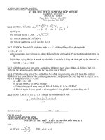 DE THI THU VAO LOP 10 NAM HOC 2010-2011(CO -D.A)-TRUONG THCSPCT -BD-HN