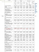 Bảng kê phân tích tài sản CIC pdf