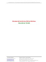 Giải pháp hài hòa thủ tục ODA tại Việt Nam ppsx