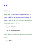 CÂU (Sentences) potx