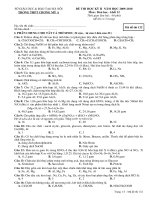 De thi học ky II ( 4 ma đề )