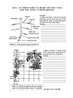Phiếu học tập 11