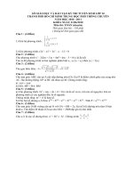 De thi Toan chuyen TpHCM (file word)