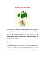 Đẹp hơn nhờ thảo dược potx