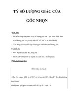 TỶ SỐ LƯỢNG GIÁC CỦA GÓC NHỌN pps