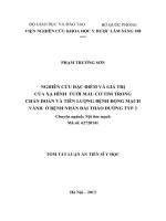 Nghiên cứu đặc điểm và giá trị của xạ hình tưới máu cơ tim trong chẩn đoán và tiên lượng bệnh động mạch vành ở bệnh nhân đái tháo đường Týp 2