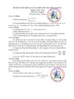 Đề Toán chuyên Lương Văn Tụy Ninh Bình 10 - 11 (vòng 1)