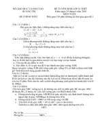 ĐỀ TOÁN :TUYỂN SINH LỚP 10- 2010