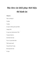 Bác đơn xin khôi phục thời hiệu thi hành án doc