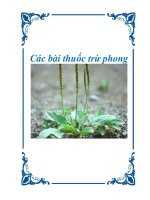 Các bài thuốc trừ phong potx