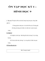 ÔN TẬP HỌC KỲ I – HÌNH HỌC 9 pdf
