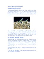 Động vật không xương sống ( phần 3 ) Hình dạng ngoài cá Lưỡng tiêm ppsx