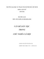 Bài tiểu luận vấn đề dân tộc trong chủ nghĩa xã hội học potx