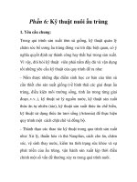 Phần 6: Kỹ thuật nuôi ấu trùng ppsx