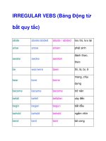 IRREGULAR VEBS pot