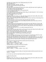 De thi+dap an chuyen nguyenDu2011