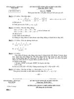 DE-DA CHUYEN THAIBINH 2010(CUCHOT)