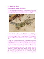 Thế giới động vật ( phần 8 ) docx