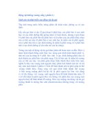 Động vật không xương sống ( phần 6 ) Sinh sản và phát triển của động vật da gai pdf