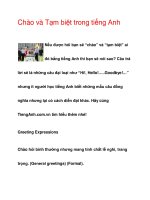 Chào và Tạm biệt trong tiếng Anh docx