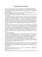 Sức mạnh huyền bí của mầu sắc docx