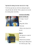 Ngôi nhà cho những chú chim xinh xắn từ vỏ hộp potx