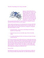 Tìm hiểu về hoạt động của các công cụ tìm kiếm potx