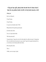 Cấp gia hạn giấy phép kinh doanh bán lẻ (hoặc đại lý bán lẻ) sản phẩm thuốc lá đối với hộ kinh doanh cá thể pot