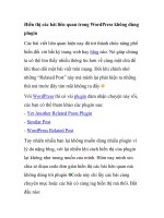 Hiển thị các bài liên quan trong WordPress không dùng plugin docx