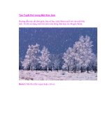 Tạo Tuyết Rơi trong Một Bức Ảnh docx