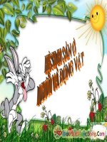 Bài giảng: sinh sản ở động vật ppt