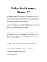 Sử dụng bộ nhớ ảo trong Windows XP pptx