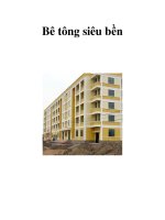 Bê tông siêu bền pps