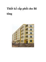 Thiết kế cấp phối cho Bê tông doc