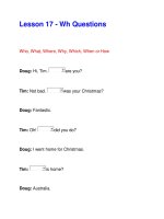 Lesson 17 - Wh Questions pps