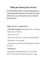 Bệnh phó thương hàn trên heo pdf